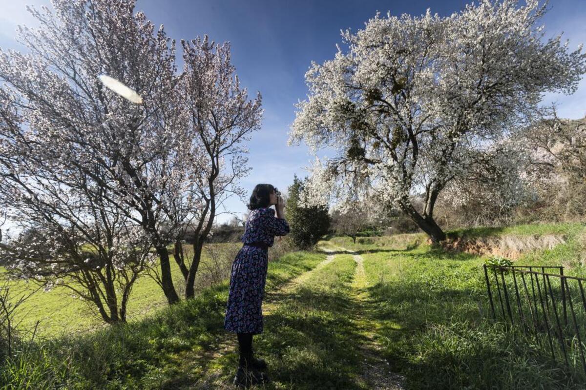 Los más intrépidos tienen la opción de no seguir el itinerario oficial y recorrer las fincas más alejadas del casco histórico de Poza, donde se ubican almendros de gran tamaño.  / ALBERTO RODRIGO