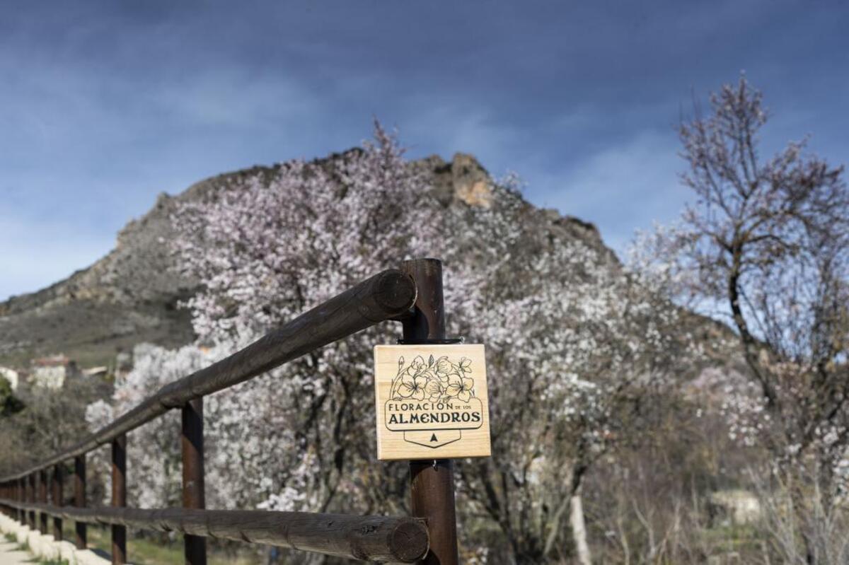 La ruta diseñada para contemplar los almendros en flor está señalizada.  / ALBERTO RODRIGO