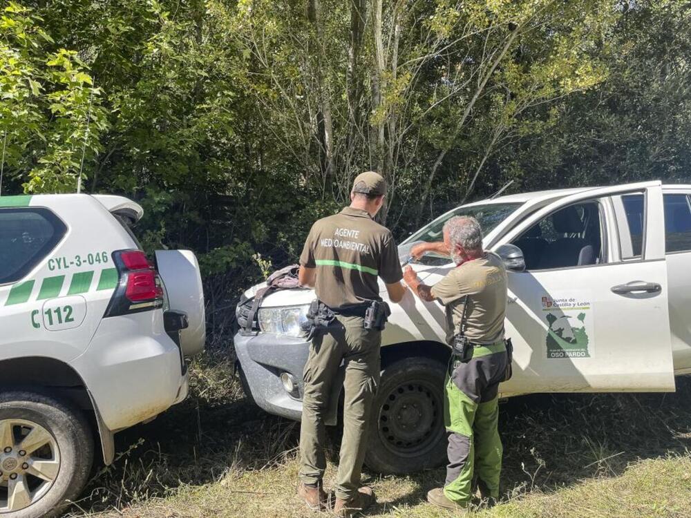 La Junta advierte a los cotos para evitar disparos a los osos