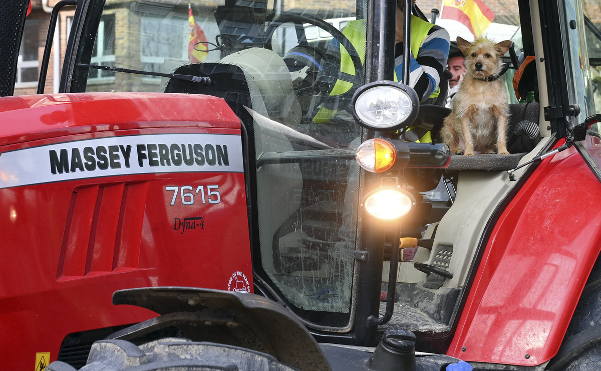 Una tractorada ha paralizado Burgos capital durante toda la mañana.  / RICARDO ORDÓÑEZ (ICAL)