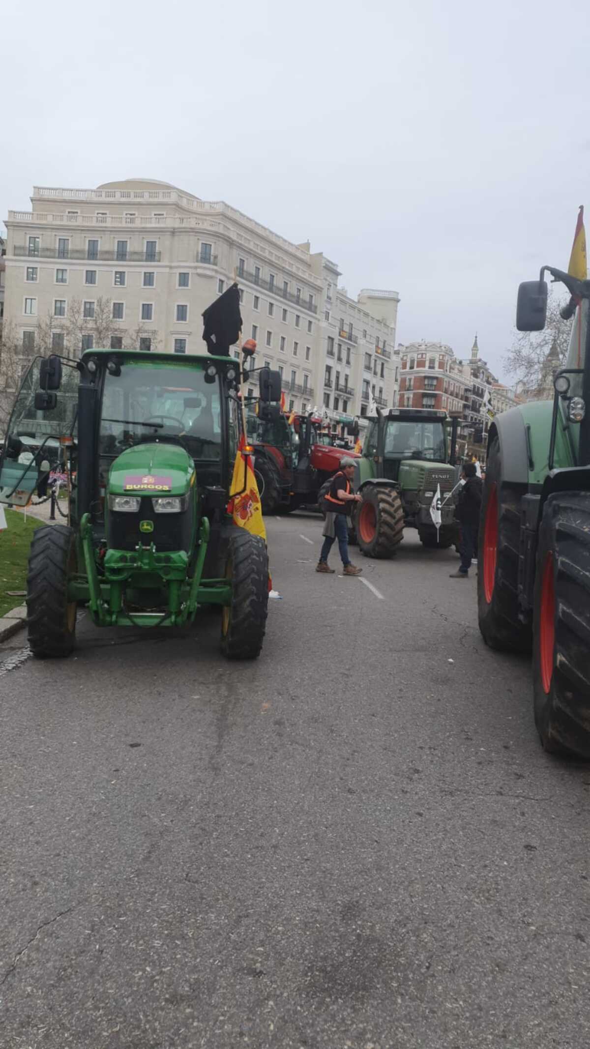 Tractorada de agricultores y ganaderos burgaleses en Madrid.  / Diario de Burgos