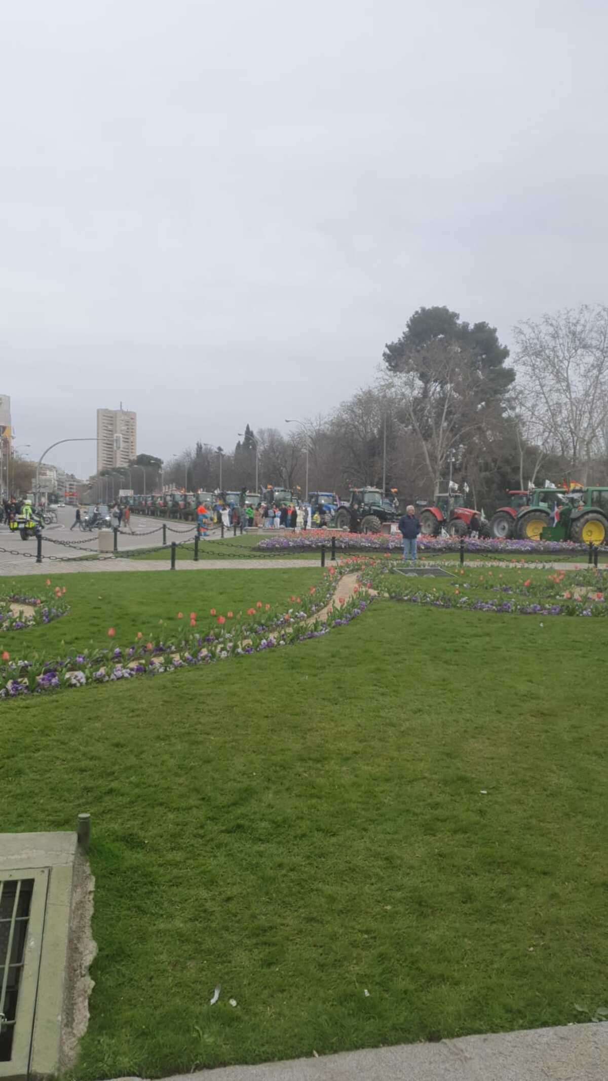 Tractorada de agricultores y ganaderos burgaleses en Madrid.  / Diario de Burgos