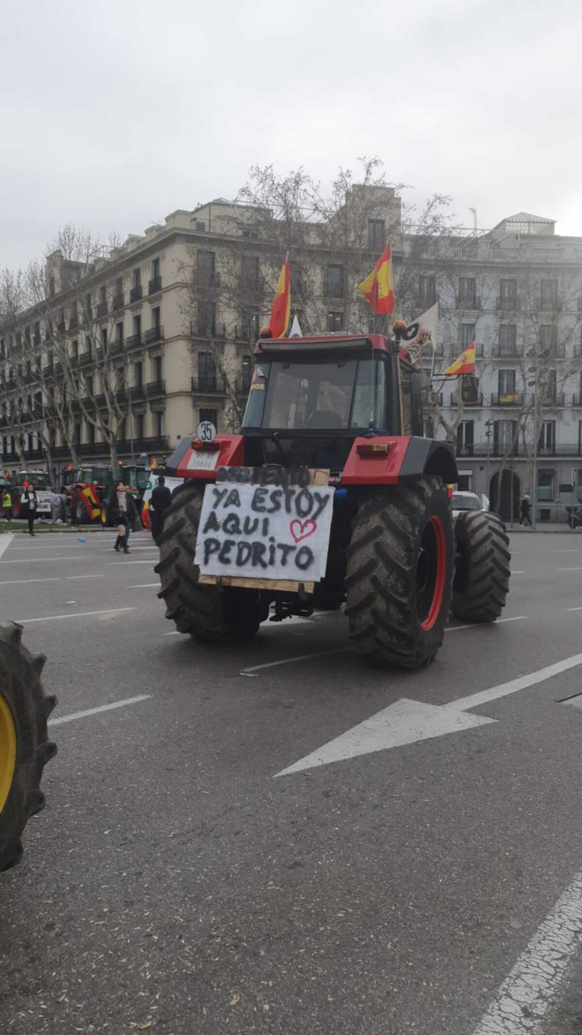 Tractorada de agricultores y ganaderos burgaleses en Madrid.  / Diario de Burgos