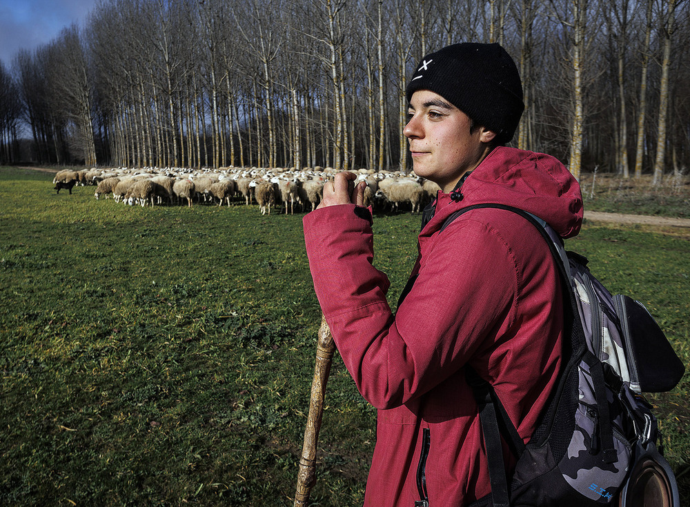 La joven Marta García Lapeña dejó su Alicante natal para aceptar una oferta de trabajo como pastora en tierras burgalesas.