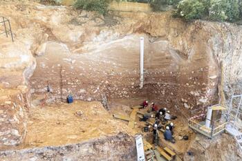Atapuerca aflora fósiles de fauna y espera los de Antecessor