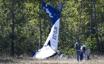 El choque con un ave, posible causa del siniestro aéreo mortal