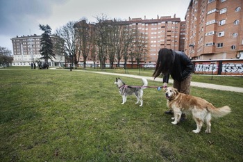 El Ayuntamiento pide que no se regalen mascotas en Navidad