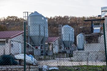 Otros 10.000 euros de multa para una granja de Quintanar