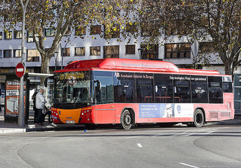 Autobuses gratuitos a Fuentes Blancas para el Día de las Peñas