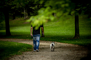 Castilla y León tiene más perros que niños: 2,2 por cada menor