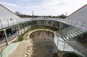 El centro de aves del Castillo abrirá en octubre para colegios