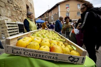 La cosecha de cereza y manzana en Caderechas, en cifras récord