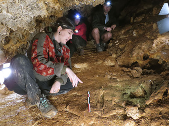 Hallan restos prehistóricos de humanos en los Hocinos