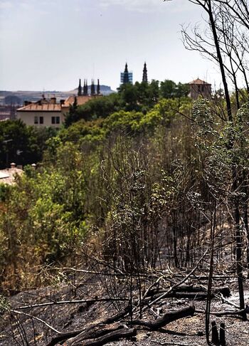 Sospechan que el fuego del Castillo se causó en un botellón