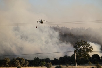 Quiñones sospecha de la intencionalidad de varios incendios