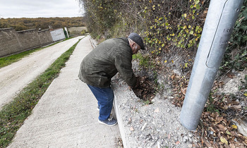 Roban 400 metros de cable y 'apagan' medio Carcedo