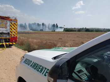 Un incendio calcina una zona de cereal en Gumiel de Izán