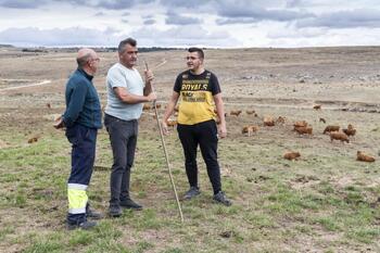 «Llevamos más de 30 ataques de lobo desde abril; desespera»