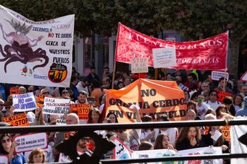 Fuentemolinos clama en Aranda contra la macrogranja