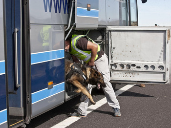 Un año y medio de cárcel tras detenerle en un bus con éxtasis