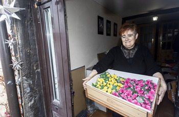 El renacer de las flores que arrasó el agua