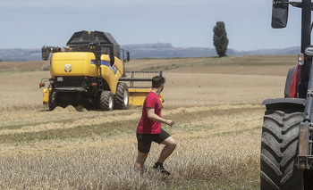 Los ocupados en agricultura bajan a la mitad en un año