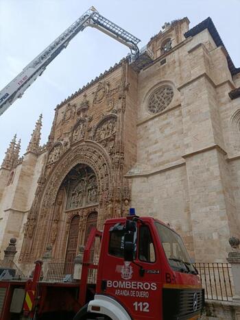 Retiran 3 de los 5 nidos de la iglesia de Santa María