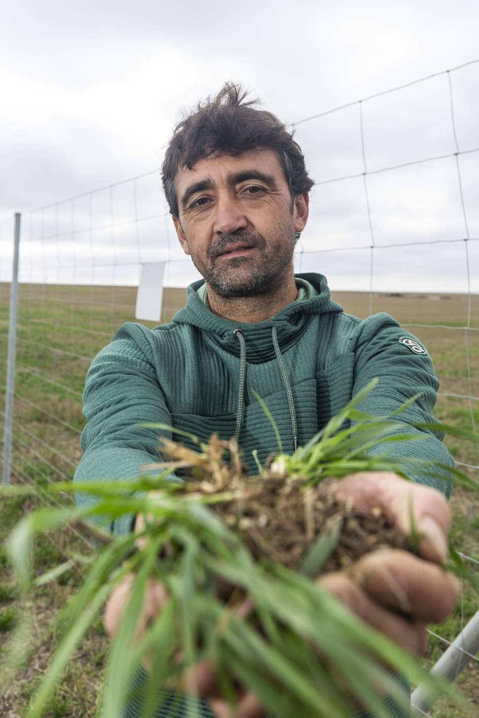 «No tiene sentido poner placas en las tierras más productivas»