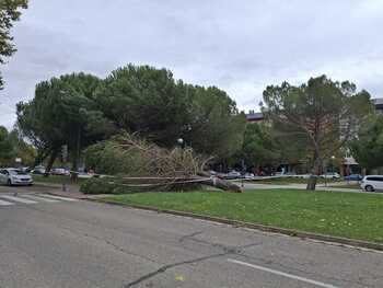 El temporal deja tres heridos en Burgos