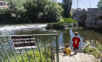 Piden no bañarse en el Arlanzón al ver peces muertos