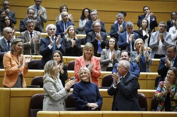 El Senado rechaza la ley de excarcelación de etarras