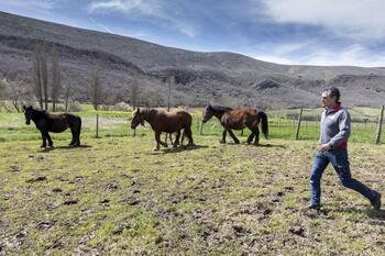 Un proyecto para fomentar la ganadería extensiva en Las Loras