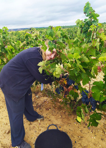 Un nuevo comienzo para Paula en las viñas de Nava