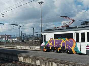 Detenido en Miranda por pintar grafitis en trenes