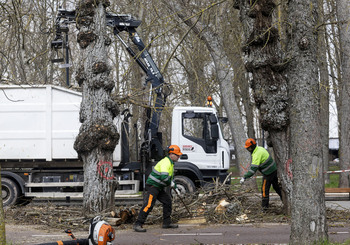 El futuro del Curpillos retrasa la regeneración de La Quinta