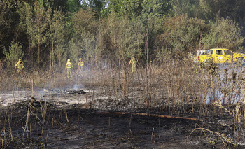 La superficie quemada en la Ribera se triplica