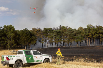 Controlan un fuego entre pinares cerca de Villacienzo