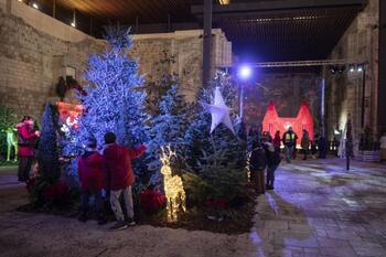 Los floristas piden volver a San Juan con su mercado navideño