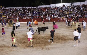 Briviesca reformará la plaza de toros para acoger conciertos