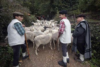 La Sierra viva