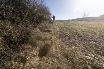 Los agricultores exigen medidas para frenar a los conejos