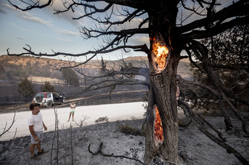 Carpetazo sin culpables al incendio del Arlanza