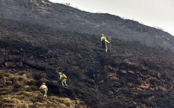 Los incendios han calcinado ya más superficie que en todo 2023