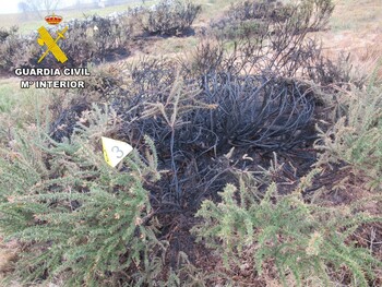 Un investigado por el incendio forestal de Espinosa