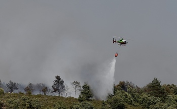 Dan por controlado el fuego de Monterrubio pero aún lo vigilan