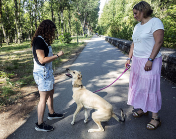 Proambur denuncia un aumento de los abandonos de animales