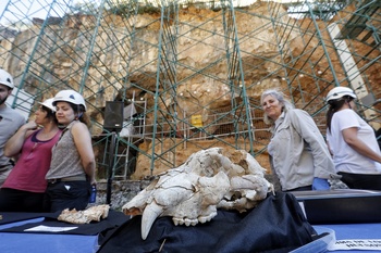 'Homo antecessor' reaparece en Atapuerca
