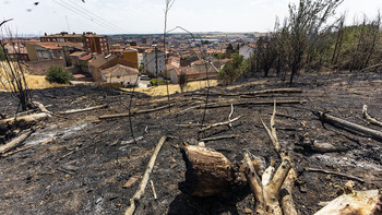 Limpiar el Castillo y frenar el botellón para evitar incendios