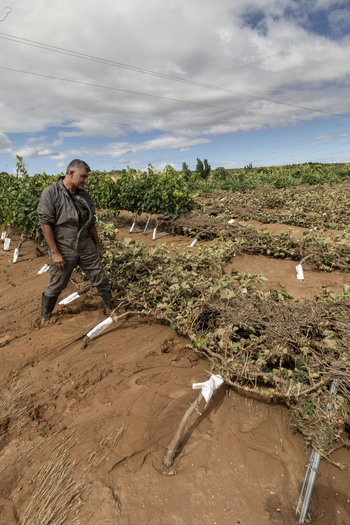 Los restos del naufragio en Castrillo de la Vega