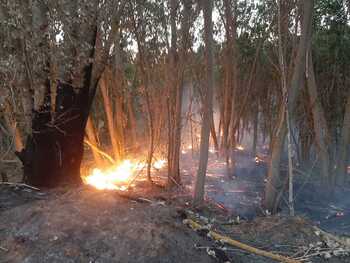 Los rayos de las tormentas vespertinas provocan tres incendios